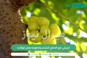 تجربتي مع الاملج للشعر وتطويله وابرز فوائده