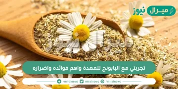 تجربتي مع البابونج للمعدة واهم فوائده واضراره