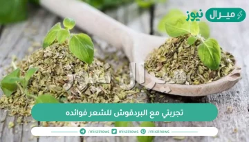 تجربتي مع البردقوش للشعر فوائده والطريقة الصحيحة لاستعماله