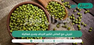 تجربتي مع الماش لتكبير الارداف ومدى فعاليته