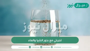 تجربتي مع بذور الشيا والماء وطريقة استخدامها