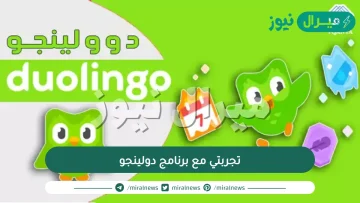 تجربتي مع برنامج دولينجو