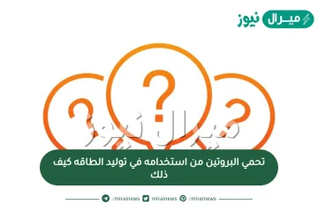 تحمي البروتين من استخدامه في توليد الطاقه كيف ذلك