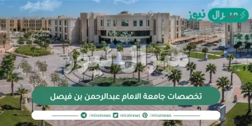 تخصصات جامعة الامام عبدالرحمن بن فيصل