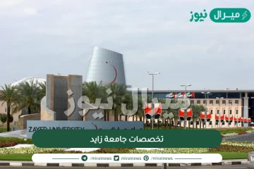 تخصصات جامعة زايد