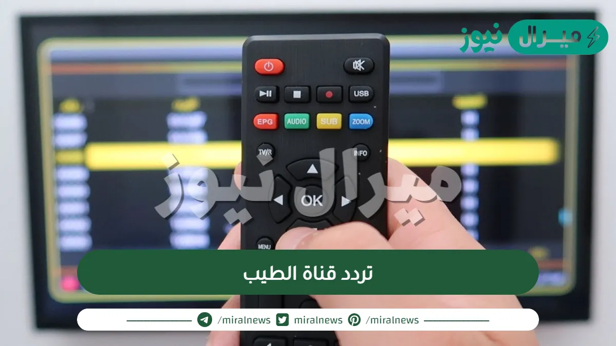 تردد قناة الطيب نايل سات الجديد