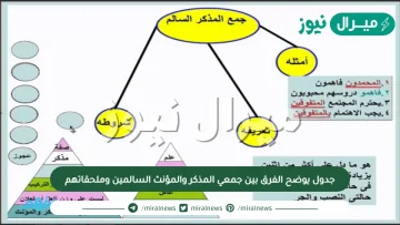 جدول يوضح الفرق بين جمعي المذكر والمؤنث السالمين وملحقاتهم