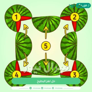 حل لغز البطيخ