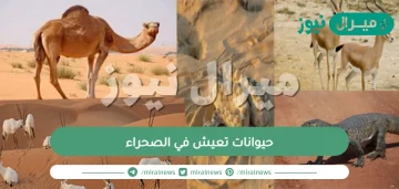 حيوانات تعيش في الصحراء