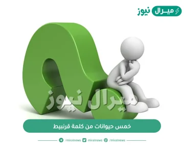 خمس حيوانات من كلمة قرنبيط