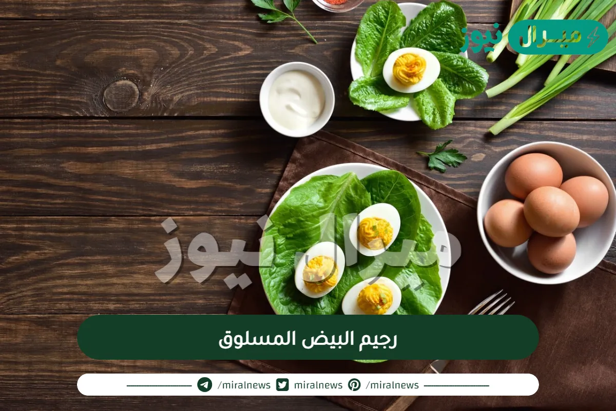 رجيم البيض المسلوق لفقد كل يوم كيلو
