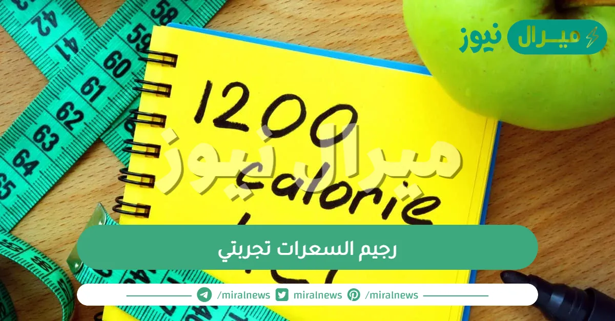 رجيم السعرات تجربتي| جدول رجيم السعرات الحرارية 1200