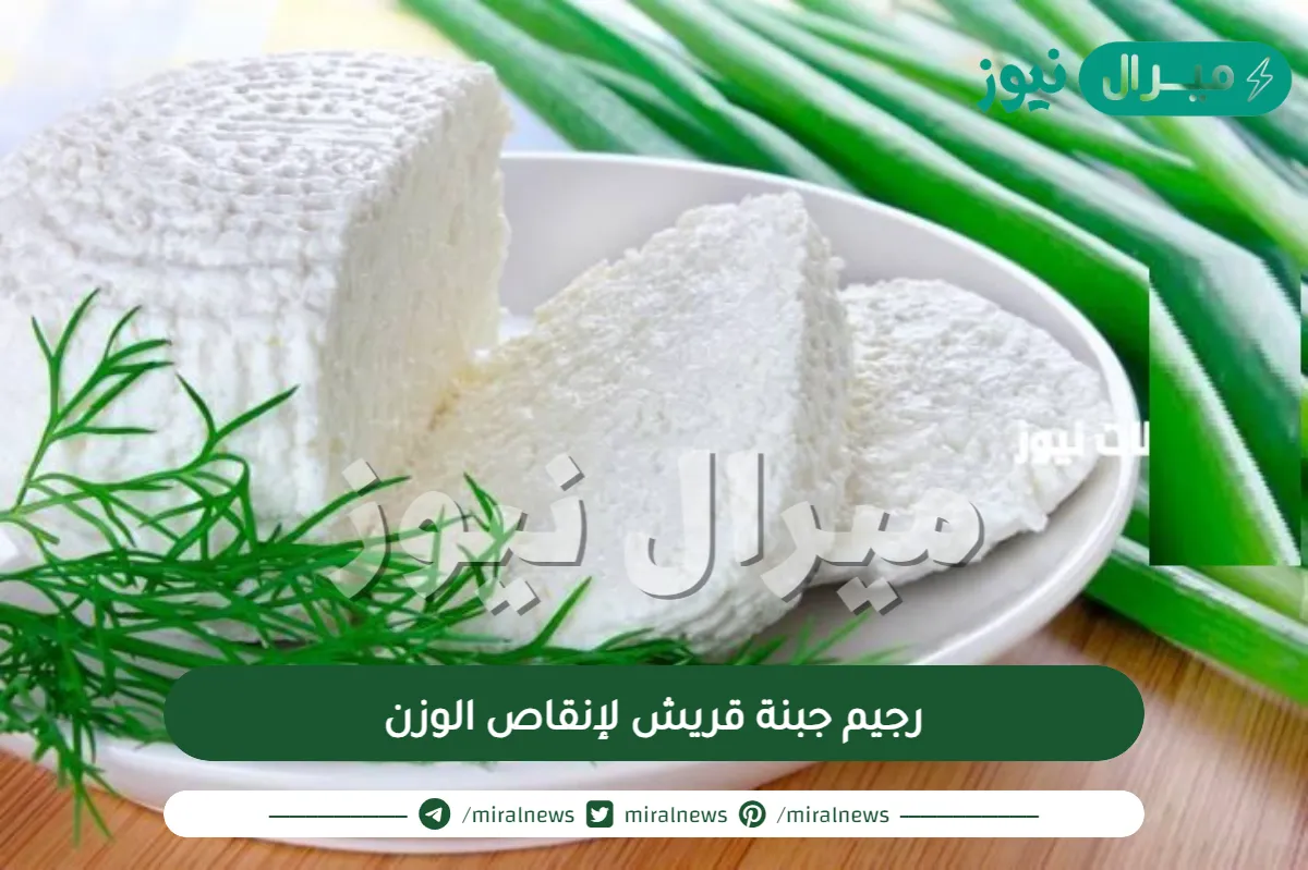 رجيم جبنة قريش لإنقاص الوزن