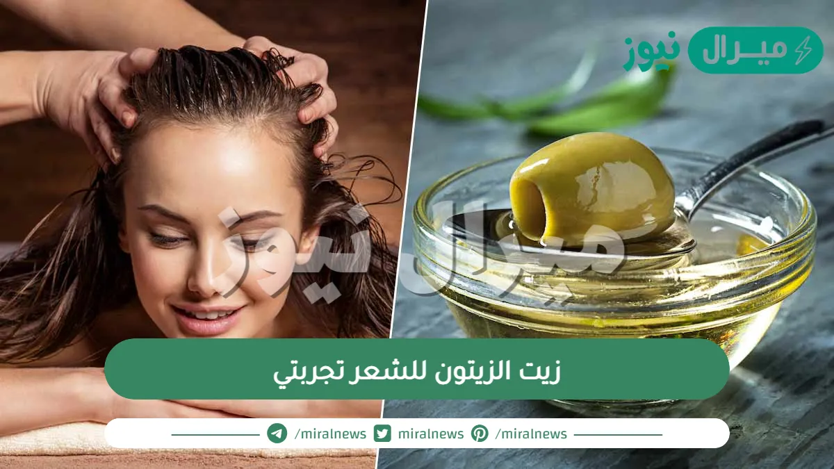 زيت الزيتون للشعر تجربتي عالم حواء مجرب