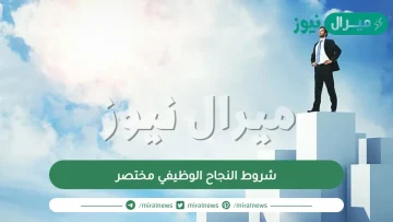 شروط النجاح الوظيفي مختصر