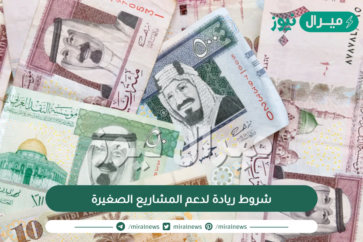 شروط ريادة لدعم المشاريع الصغيرة