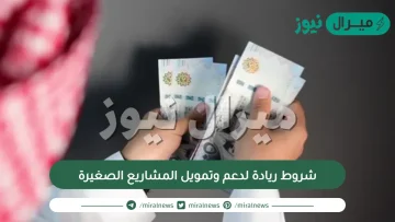 شروط ريادة لدعم وتمويل المشاريع الصغيرة