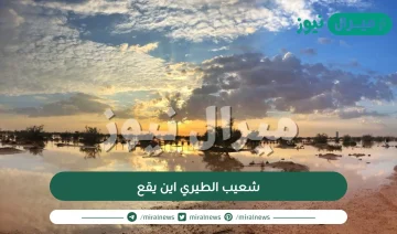 شعيب الطيري اين يقع