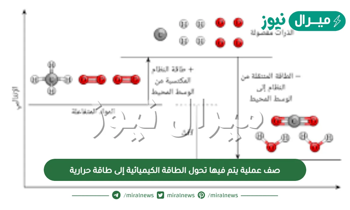 صف عملية يتم فيها تحول الطاقة الكيميائية إلى طاقة حرارية