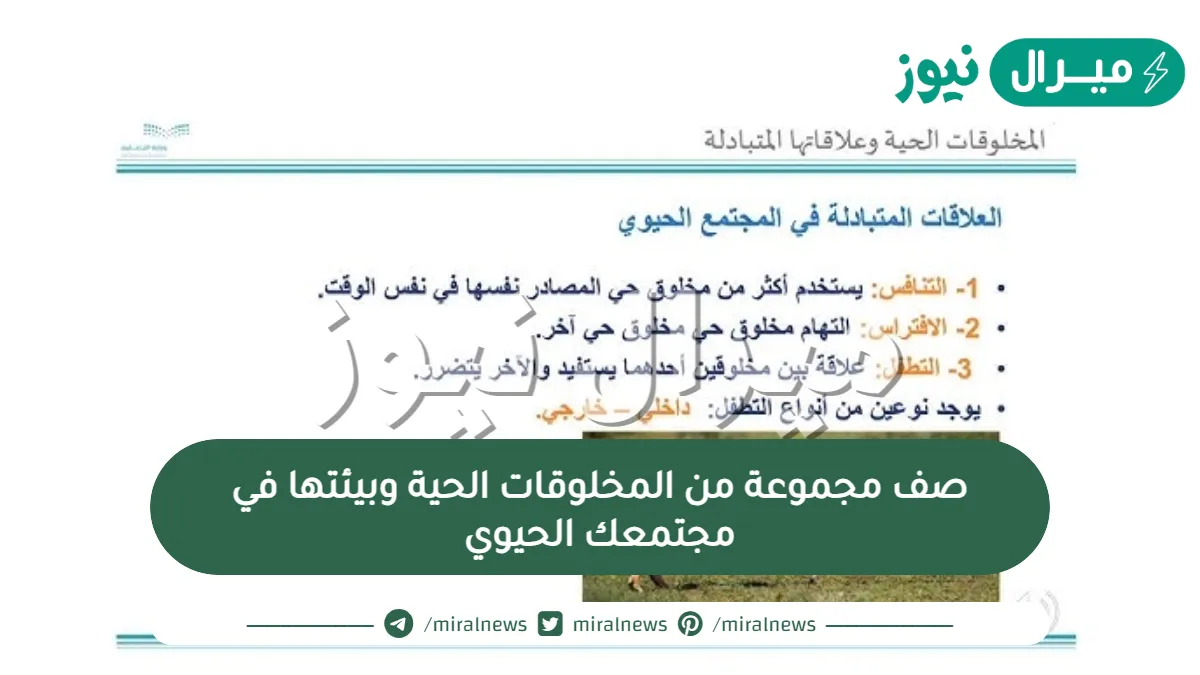 صف مجموعة من المخلوقات الحية وبيئتها في مجتمعك الحيوي