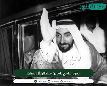 صور الشيخ زايد بن سلطان آل نهيان