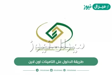 طريقة الدخول على التامينات اون لاين