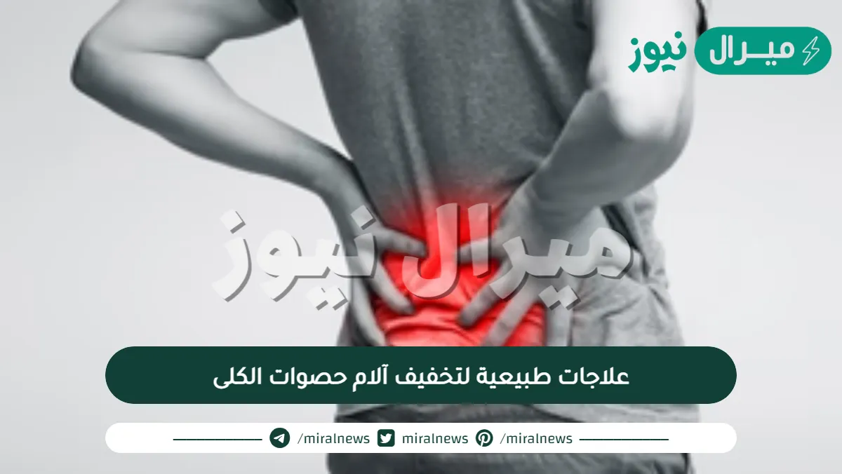 10 علاجات طبيعية لتخفيف آلام حصوات الكلى