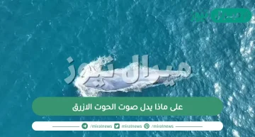 على ماذا يدل صوت الحوت الازرق