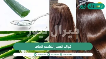 فوائد الصبار للشعر الجاف