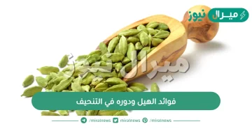 فوائد الهيل ودوره في التنحيف