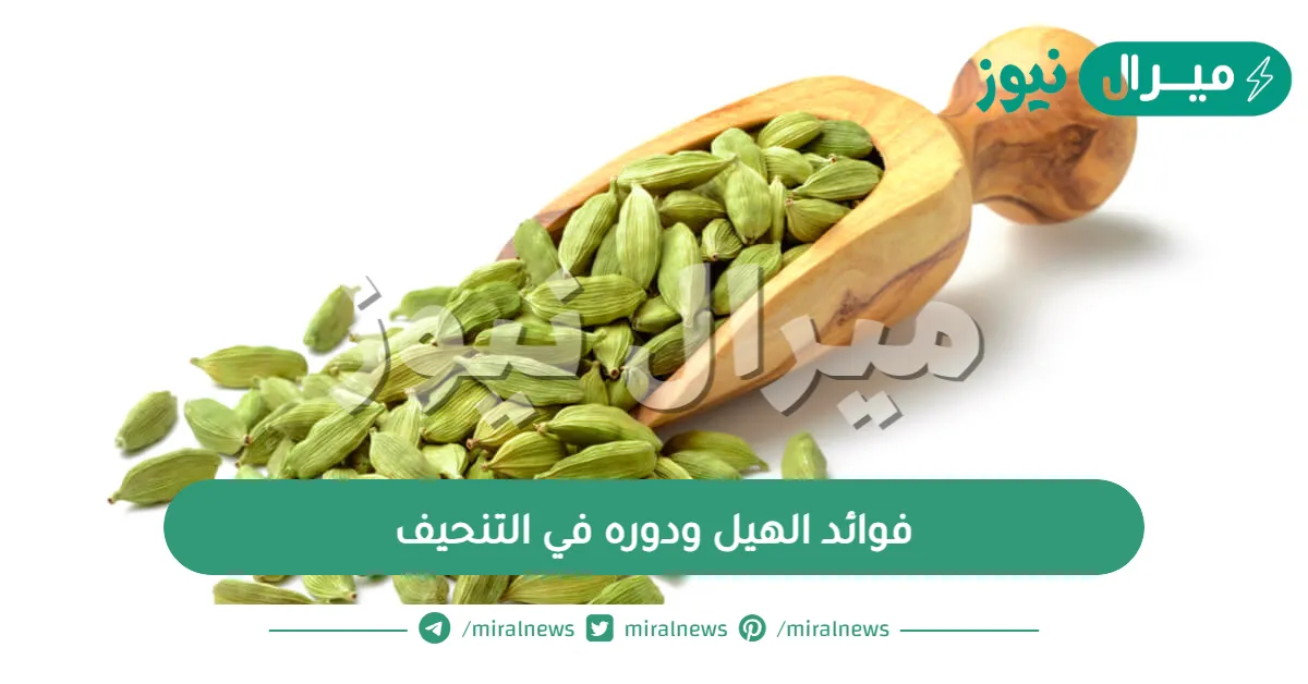 فوائد الهيل ودوره في التنحيف