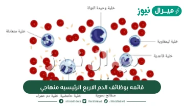 قائمه بوظائف الدم الاربع الرئيسيه منهاجي