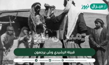 قبيلة الرشيدي وش يرجعون