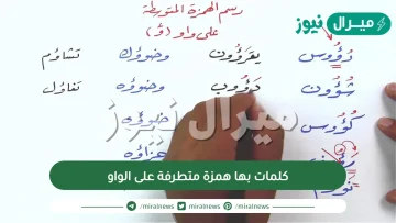 كلمات بها همزة متطرفة على الواو