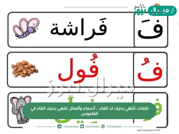 كلمات تنتهي بحرف ف الفاء .. أسماء وأفعال تنتهي بحرف الفاء في القاموس