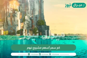 كم سعر أسهم مشروع نيوم وما هو رأس المال الذي سيحققه نيوم