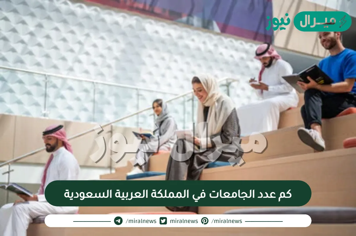 كم عدد الجامعات في المملكة العربية السعودية
