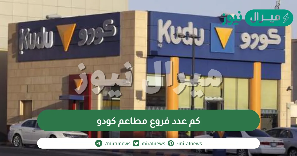 كم عدد فروع مطاعم كودو