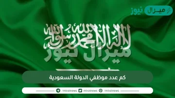 كم عدد موظفي الدولة السعودية
