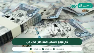 كم مبلغ حساب المواطن لكل فرد بعد التحديثات الأخيرة