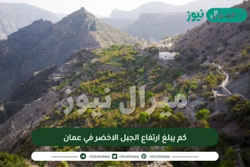 كم يبلغ ارتفاع الجبل الاخضر في عمان