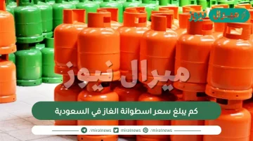 كم يبلغ سعر اسطوانة الغاز في السعودية