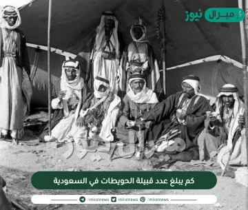 كم يبلغ عدد قبيلة الحويطات في السعودية ومعلومات ويكيبيديا حولهم