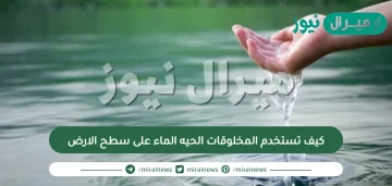 كيف تستخدم المخلوقات الحيه الماء على سطح الارض