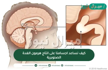 كيف نساعد اجسامنا على انتاج هرمون الغدة الصنوبرية