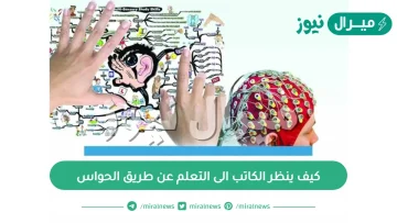 كيف ينظر الكاتب الى التعلم عن طريق الحواس