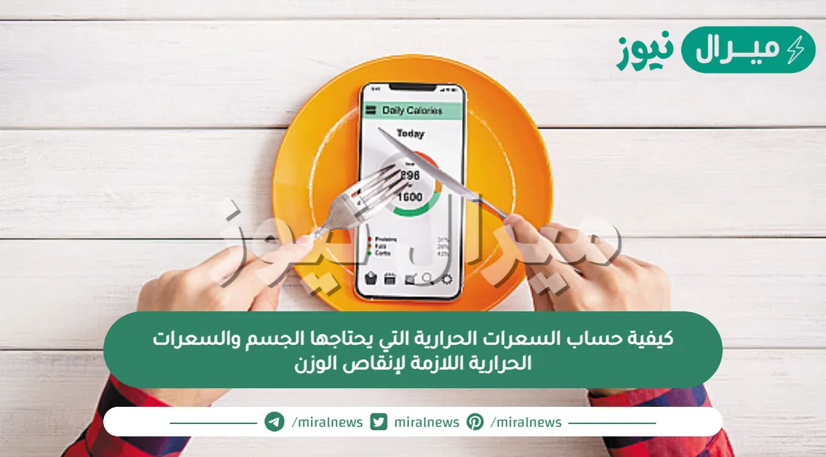 كيفية حساب السعرات الحرارية التي يحتاجها الجسم والسعرات الحرارية اللازمة لإنقاص الوزن