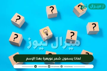 لماذا يسمون شمر عويهرة بهذا الإسم