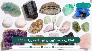 لماذا يوجد عدد كبير من انواع الصخور المختلفة