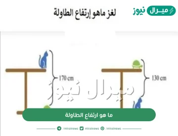 ما هو ارتفاع الطاولة